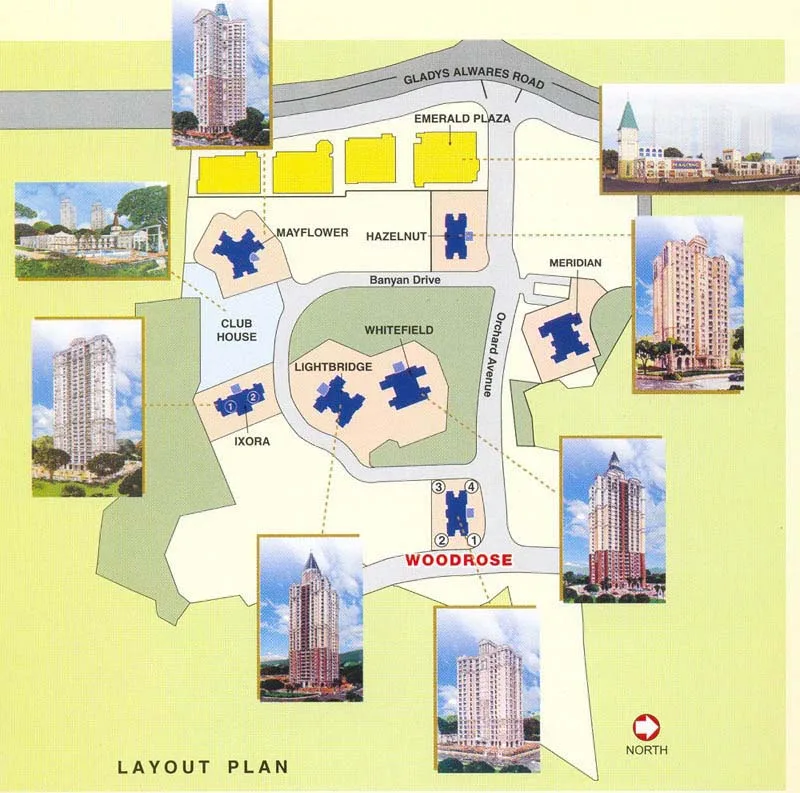 Layout Building