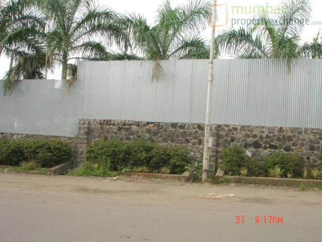 3 September 2006