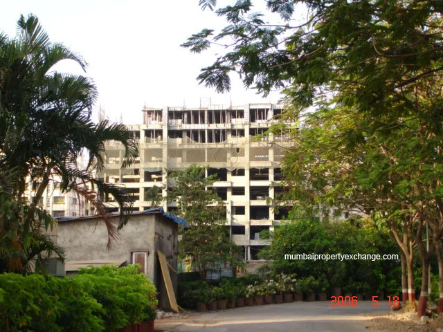 19 May 2006