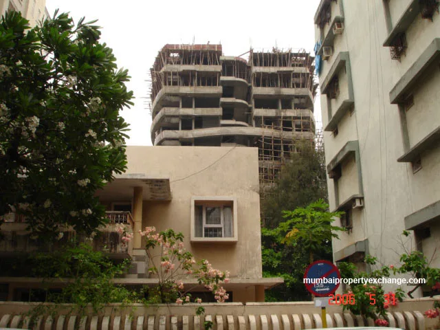 31 May 2006