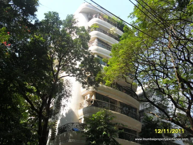 11th Nov 2011