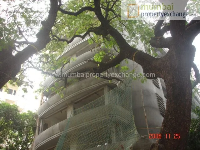25 Nov 2006