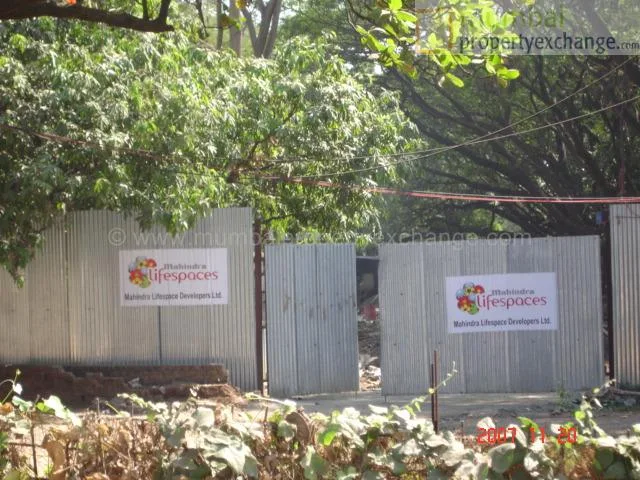 20 Nov 2007