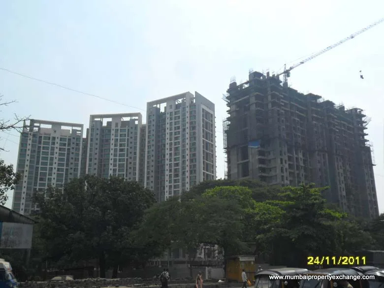 29 Nov 2011