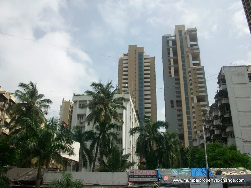 25 July 2009 — photo 7