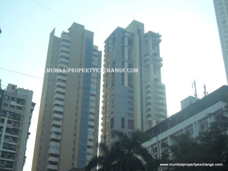 5th Dec 2011 — photo 11