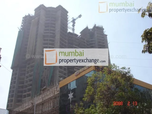 12 Feb 2008