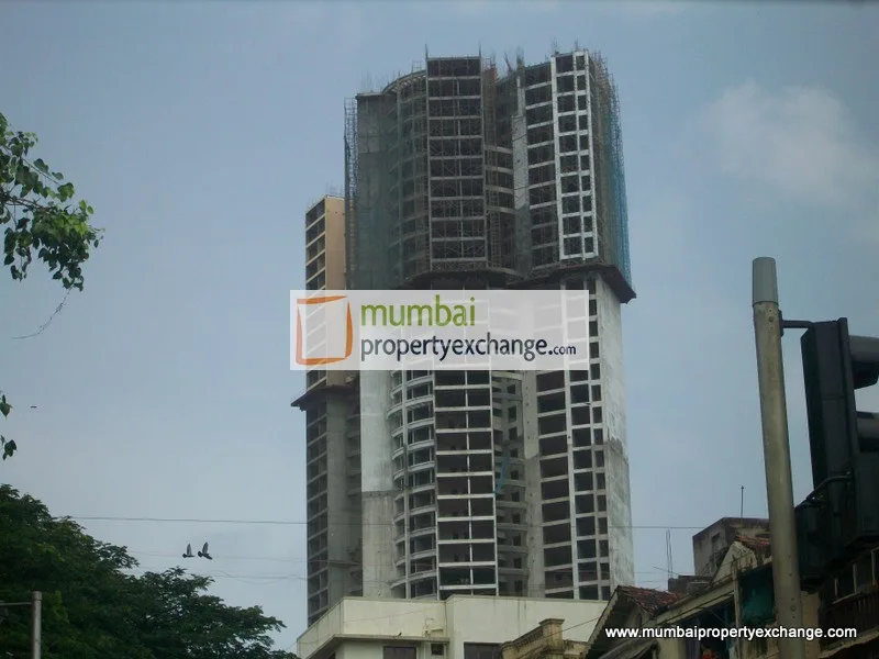 25 July 2009