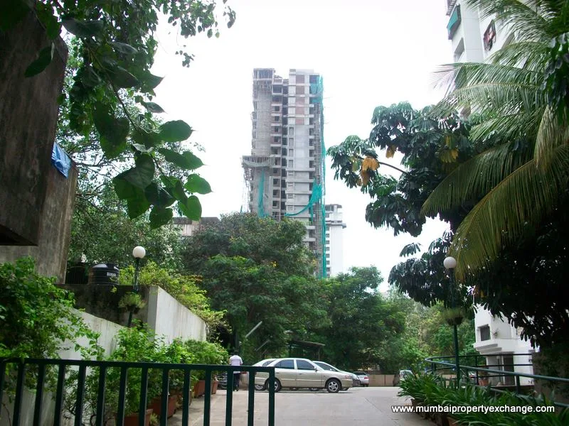28 July 2009