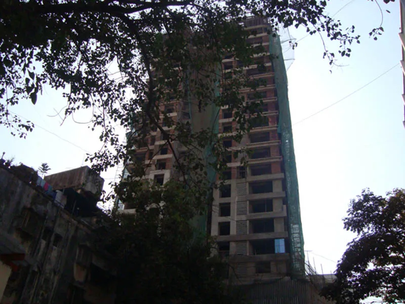3 Feb 2009