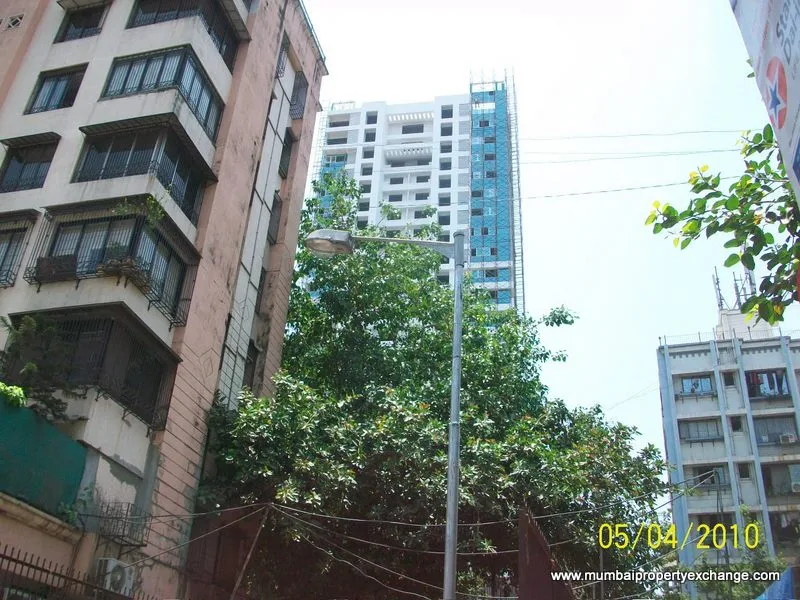 4 May 2010