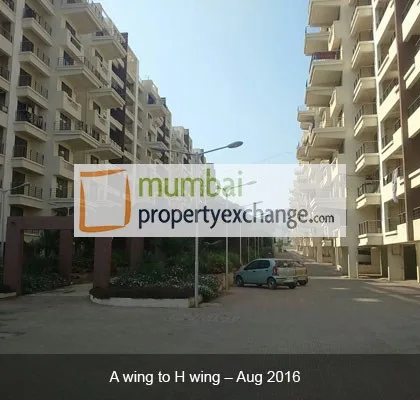 A wing Aug 2016