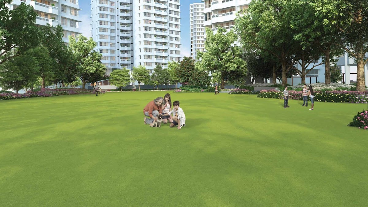 Emerald Isle Image-12