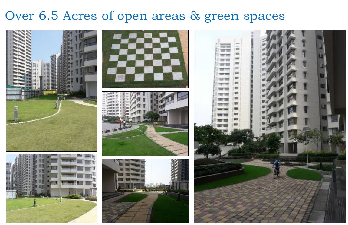 Emerald Isle Open Space