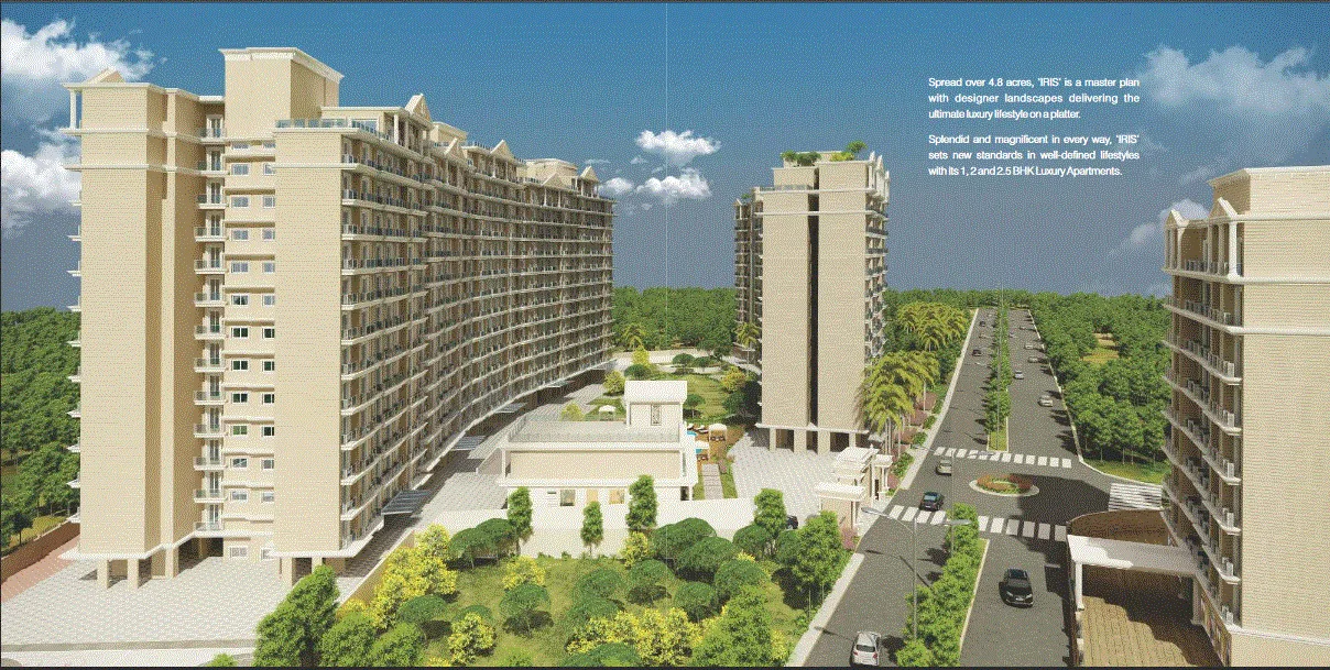 Main Image