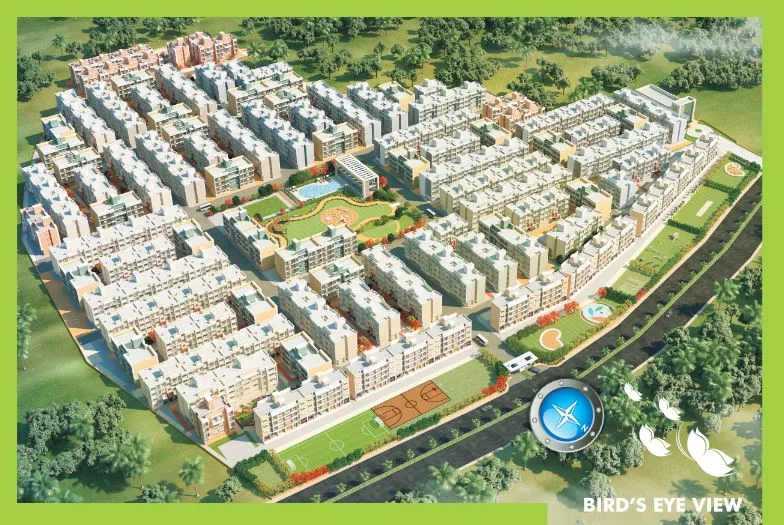 Bird View