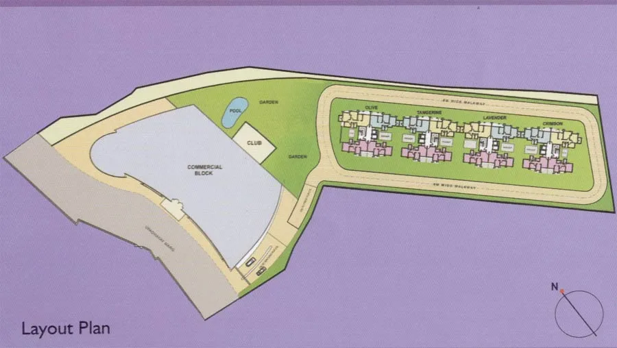 Layout