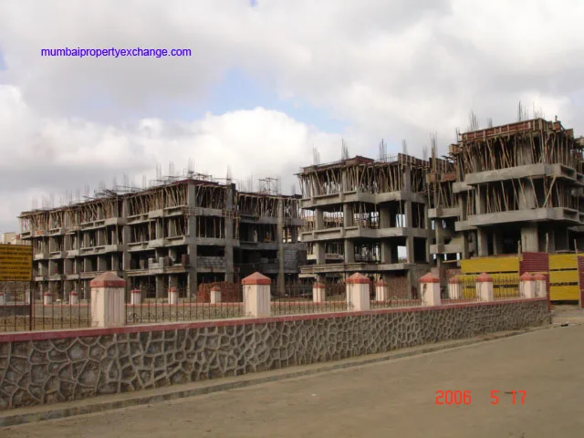 17 May 2006