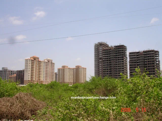 May 15, 2006 — photo 4