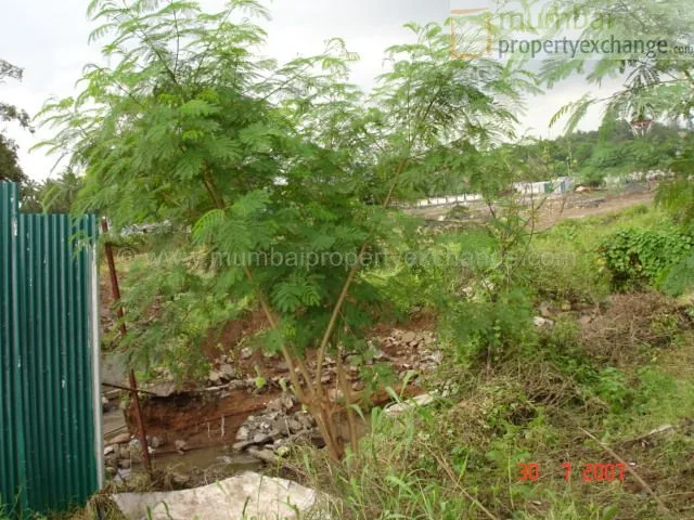 30 July 2007
