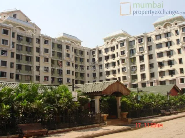 Main Image