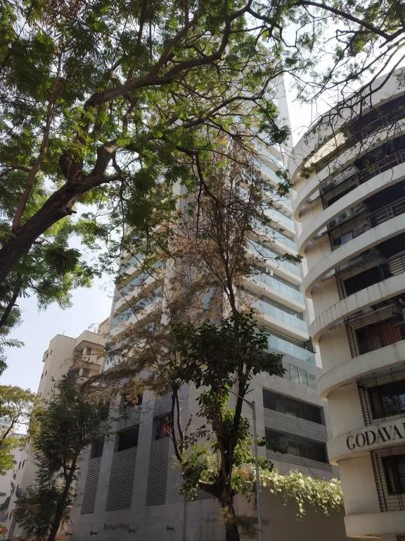 Tranquil Bay Elevation Image-3