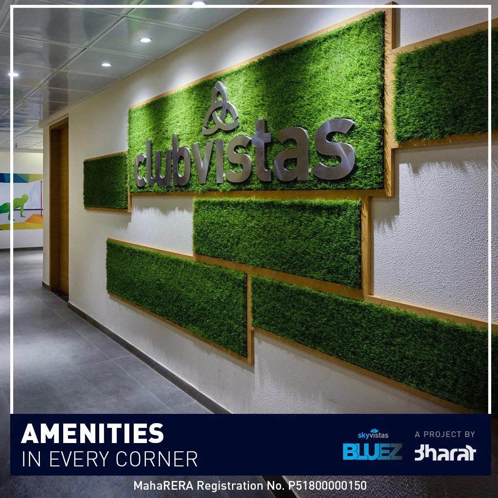 Skyvistas Bluez Clubvistas