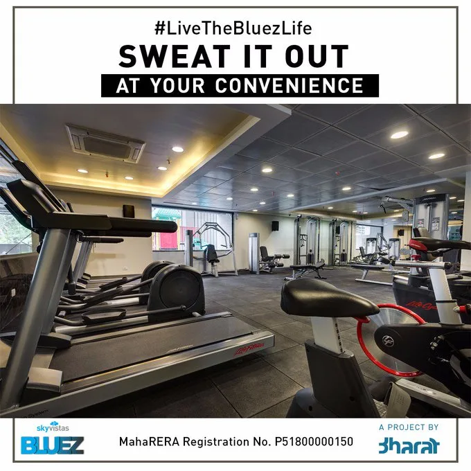 Skyvistas Bluez Gym