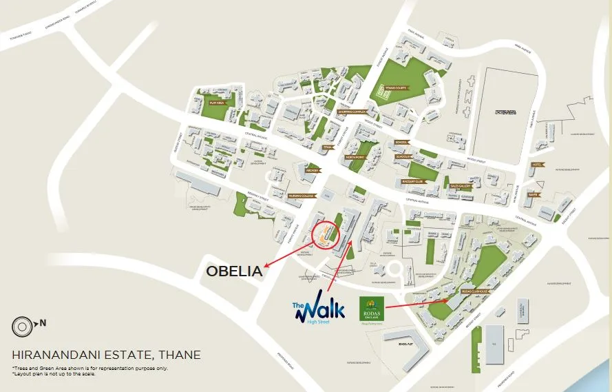 Obelia Master Layout