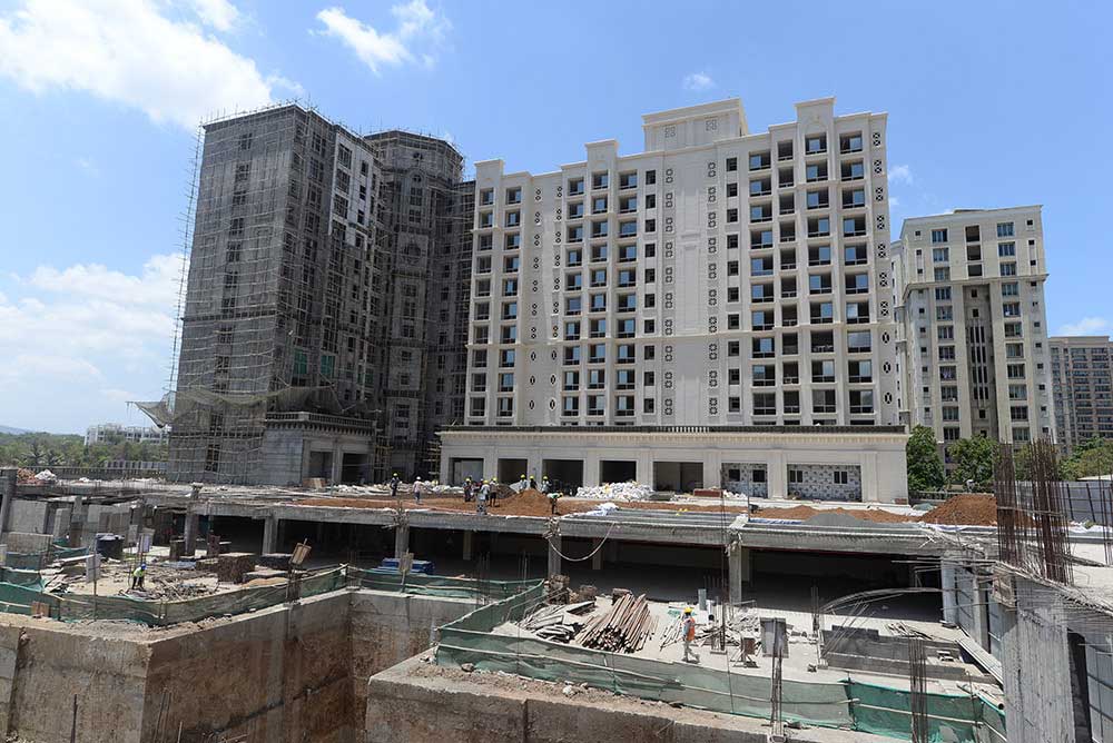 obelia-project-status May 2019