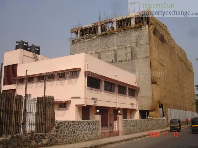 Main Image