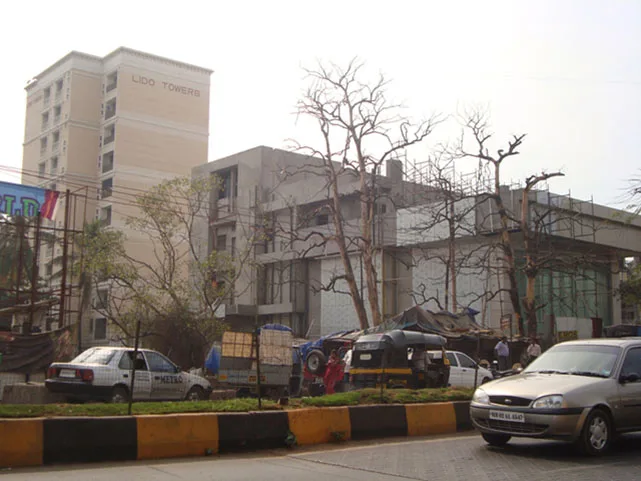 19 Jan 2009