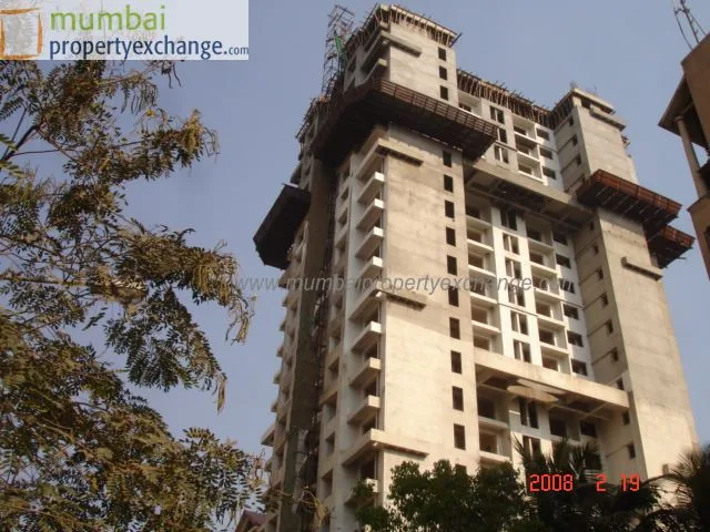 19 Feb 2008