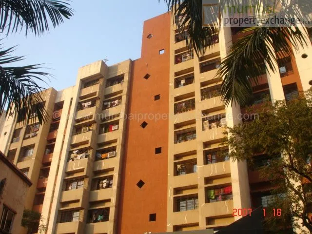 18 January 2007 — photo 3