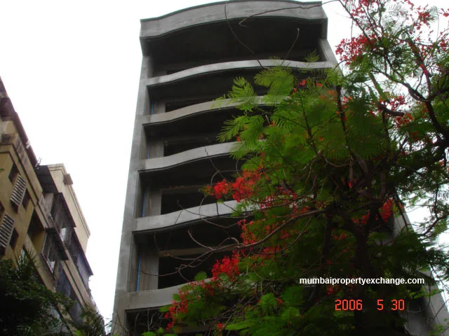 31 May 2006