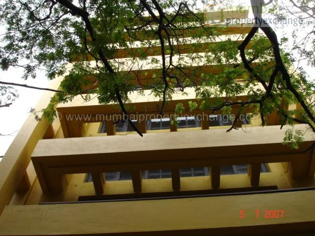 6 July 2007
