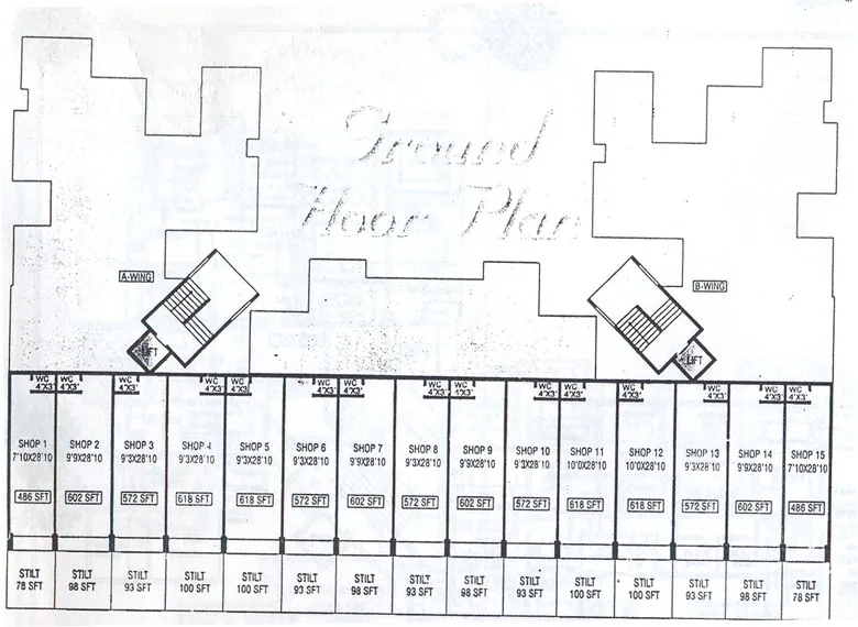 layout