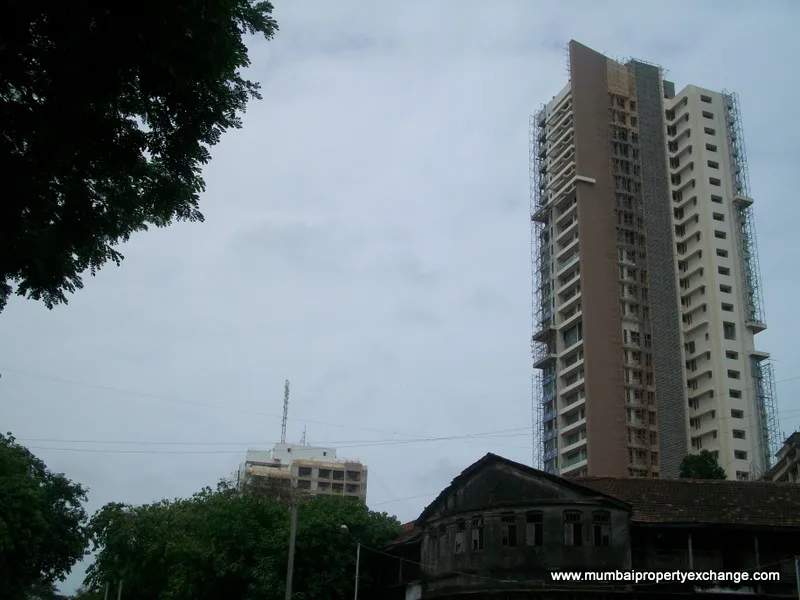 28 July 2009
