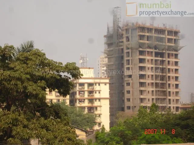 8 Nov 2007