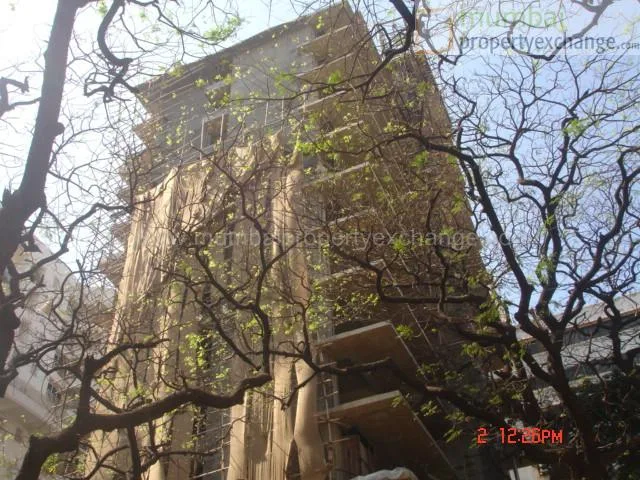 7 Feb 2007