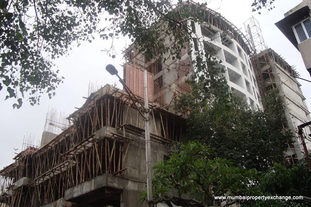 29 June 2009