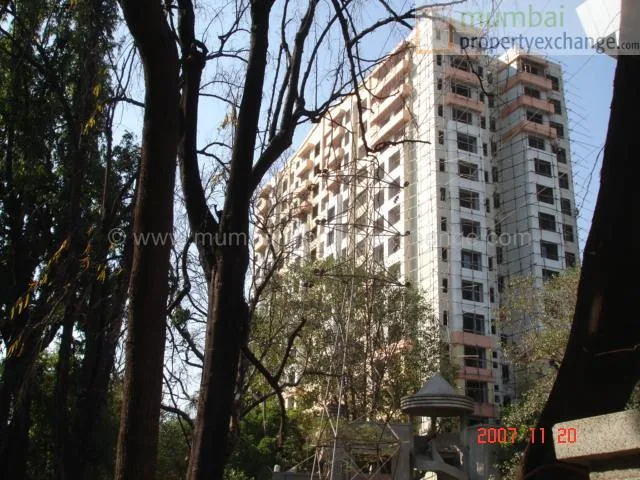 20 Nov 2007