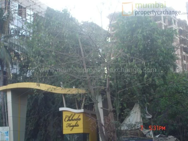 8 Feb 2007