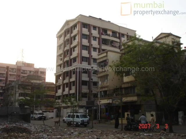 12 March 2007