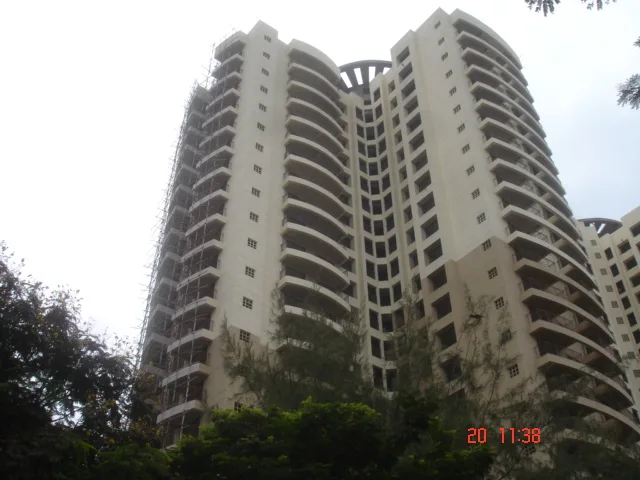 20 June 2009