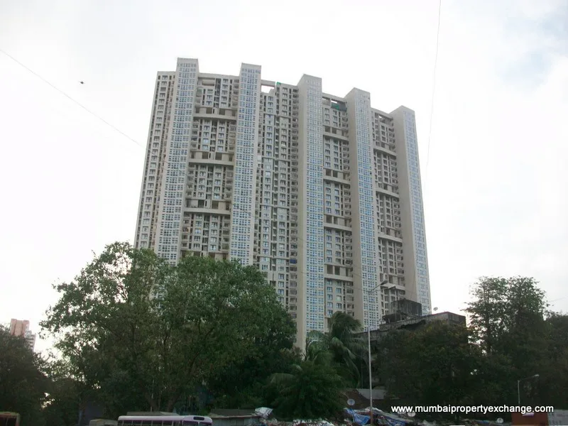 Main Image