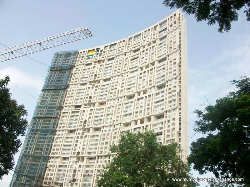 25 July 2009