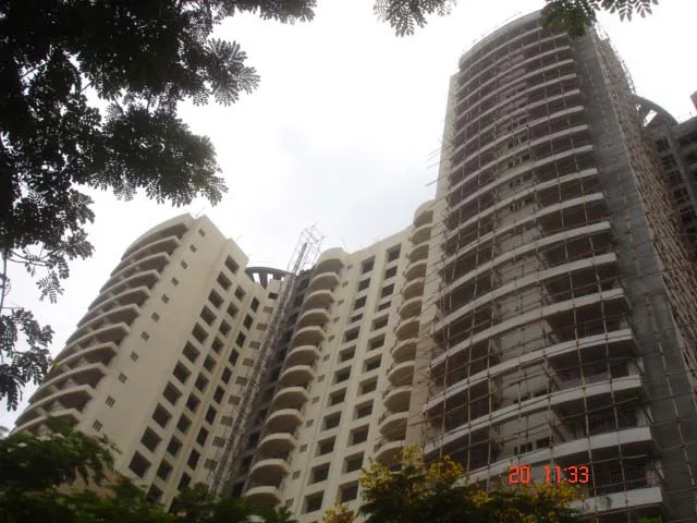 20 June 2009