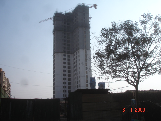 8 Jan 2009