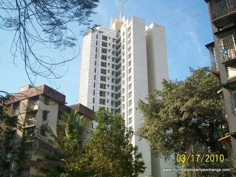 17 March 2010